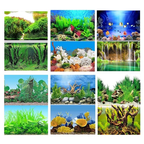 Aquarium fish tank - fish, background