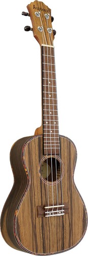 Ashbury 89cz concert - ashbury, au-89cz