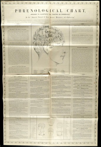 Phrenological chart imperial - phrenological,