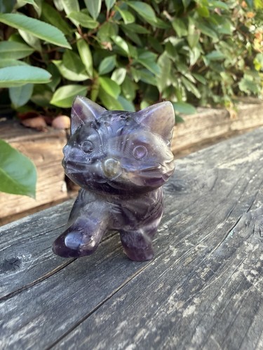 Fluorite cat - fluorite,