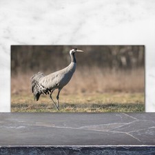 Tulup Kitchen Glass Splashback