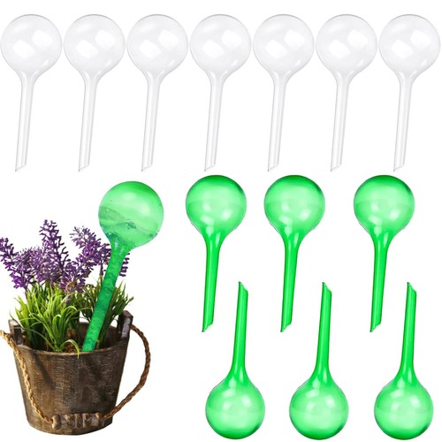 Pack plant watering - plant, globes