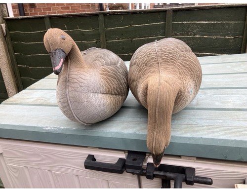 Goose decoys have - goose,