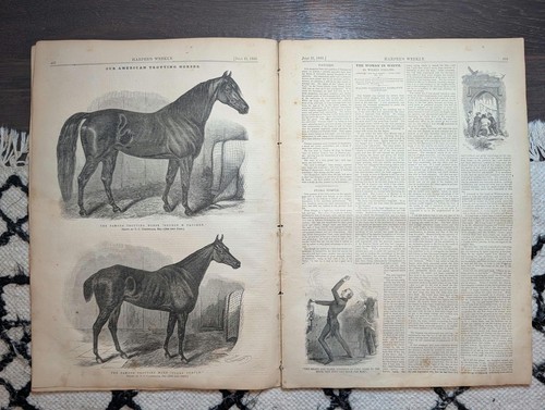 1860 american trotting horses - american,
