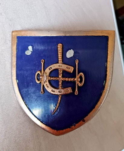 Rare vintage royal hong - royal,