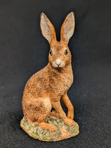 Border fine arts hare - fine, 'field