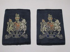 British Air Force Warrant Officer rank slides patches badge insignia military