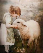 Little Lambs. A Little Girl