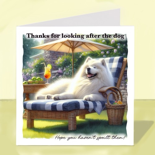 Samoyed dog sitter pet - dog, carer