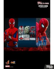 Hot Toys CMS010 Spider-Man 1/6