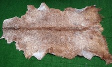 Luxury Goat hide Rug Hair on
