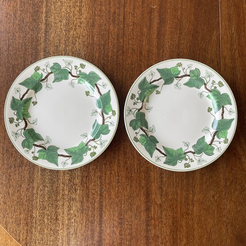 Wedgwood napoleon ivy - wedgwood, ivy’
