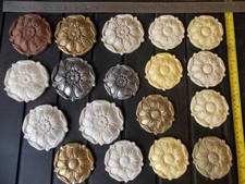 Mixture of Tudor Roses