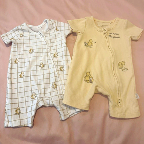 Disney winnie the pooh - winnie,