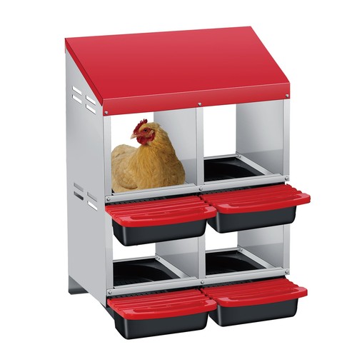 Chicken nest boxes - chicken,