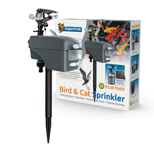 Superfish bird cat - cat, sprinkler