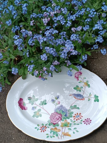 Vintage wedgwood cuckoo big - cuckoo,
