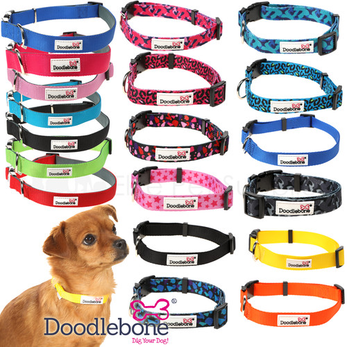 Doodlebone collar dog puppy - doodlebone,