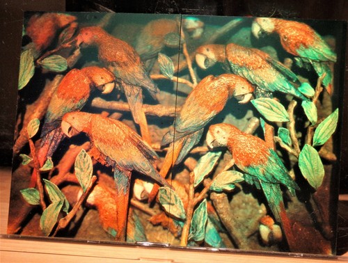Full color film hologram - full,