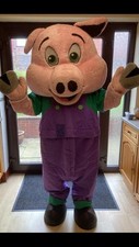 Pig Mascot Costume Made By