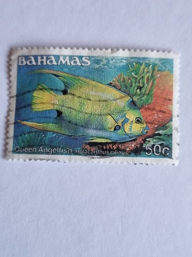Bahamas 1990 queen angelfish - "bahamas,