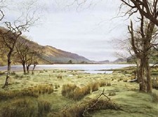 ALAN INGHAM 'IN SPLENDID