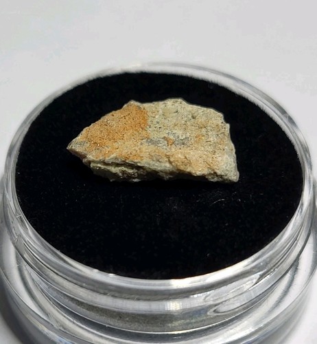 Hadrosaur egg shell genuine - egg,