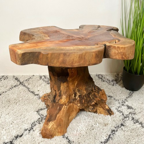 Teak root wood - wood, mushroom