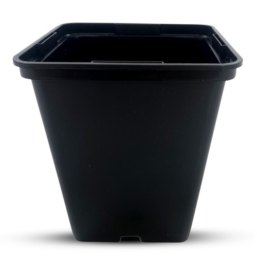 10cm rigid square plant pots - 10cm,