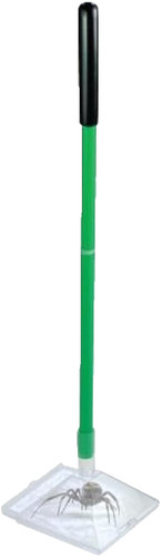 Spider catcher humane quick - spider,
