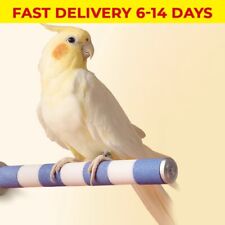 Bird Claw Beak Grinding Bar