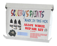 Alloy Wheel Repair Kit Paint