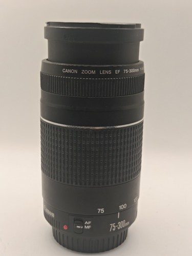 Canon 300mm 5 - canon, 75-300mm