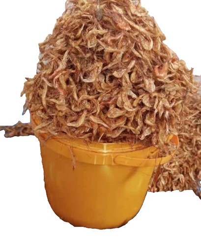 Dried oron crayfish - dried,