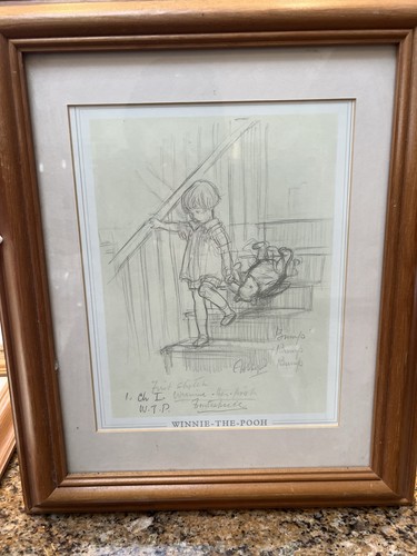Winnie the pooh - winnie,