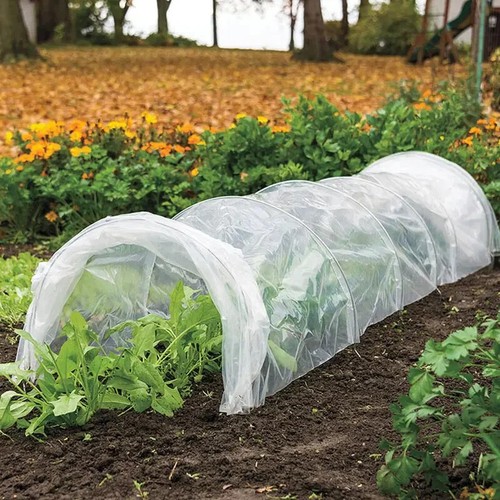 Poly tunnel cloche mini - 1.5m,