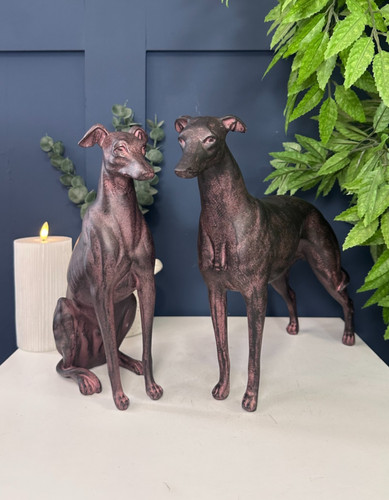Pair greyhound dog - pair, of