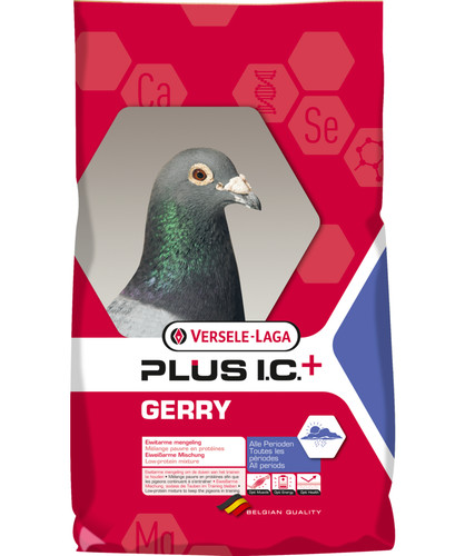 Versele laga gerry - i.c., +