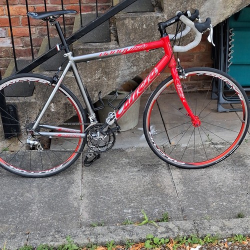 Wilier triestina road - wilier, bike