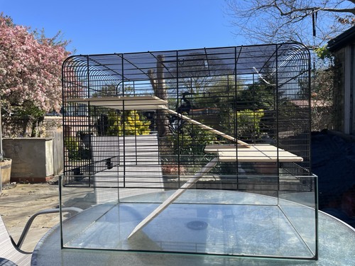 Gerbilarium tier glass tank - 2-tier,