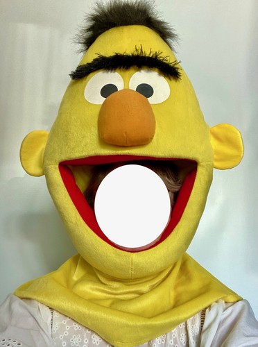 Adult bert mascot - bert, dress