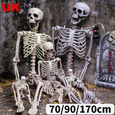 40-170cm Poseable Skeleton Full Life Size Human Skeleton Halloween Decoration