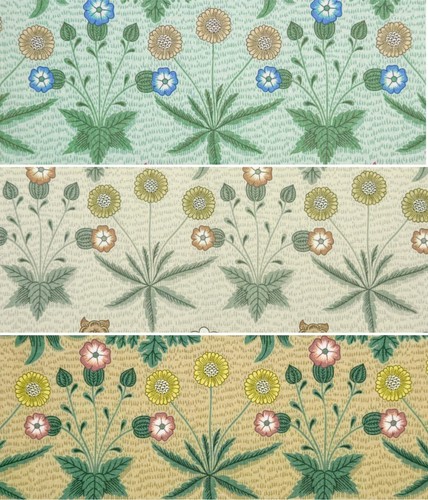 Daisy william morris - by,