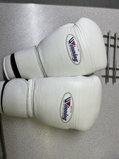 [Excellent Condition] Winning