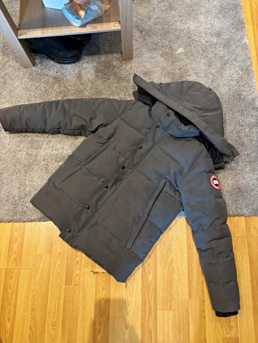 Canada goose grey - canada,