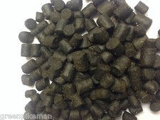 Premium sturgeon sterlet fish - sturgeon,