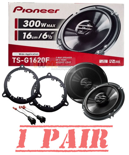 Pioneer 300 watts - pioneer, door