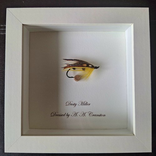 Gift for fishing enthusiast - fishing,