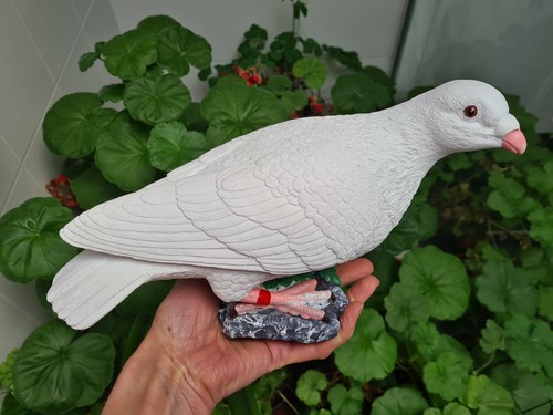 Lifesize dove pigeon - /, garden