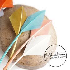 Arrowhead Turkey Quill Feather